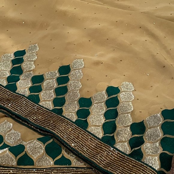 Pure Geogette embroidered designer Rangoli sequin saree - Picture 9 of 12